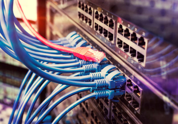 Server Rack With Blue And Red Internet Patch Cord Cables Connect